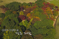 신라의 신성한 숲, 경주 계림