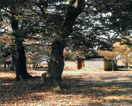 경주계림전경